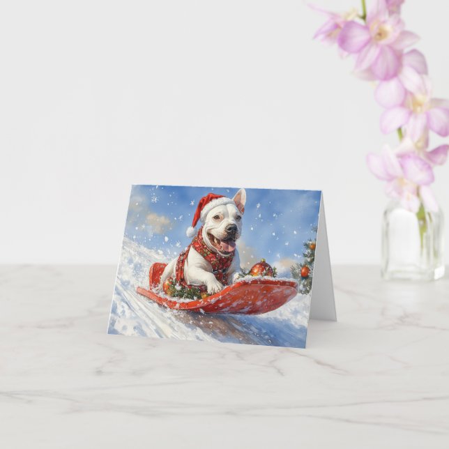 Bull Terrier Dog in Sledge Let it Schnee Weihnacht Karte (Orchidee)
