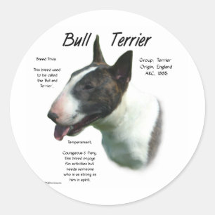Bull Terrier (farbig) History Design Runder Aufkleber
