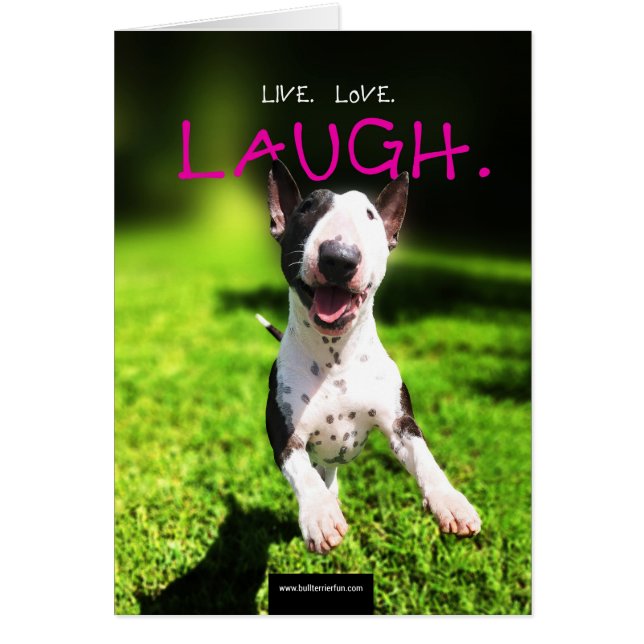 Bull Terrier Fotokarte "Live, Liebe, Lachen" (Vorne)