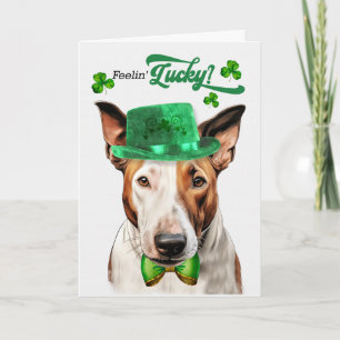 Bull Terrier Hund fühlt sich am St. Patrick's Day Feiertagskarte