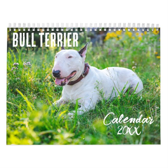 Bull Terrier Kalender 2026 (Titelbild)