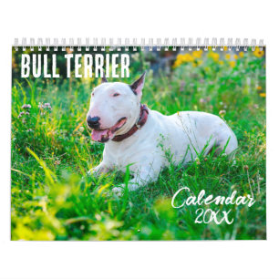 Bull Terrier Kalender 2026