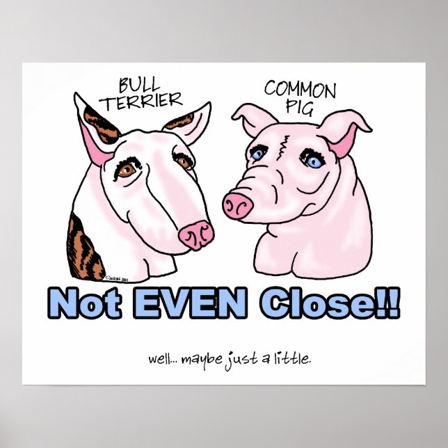 Bull Terrier KEIN Schwein Poster (Vorne)