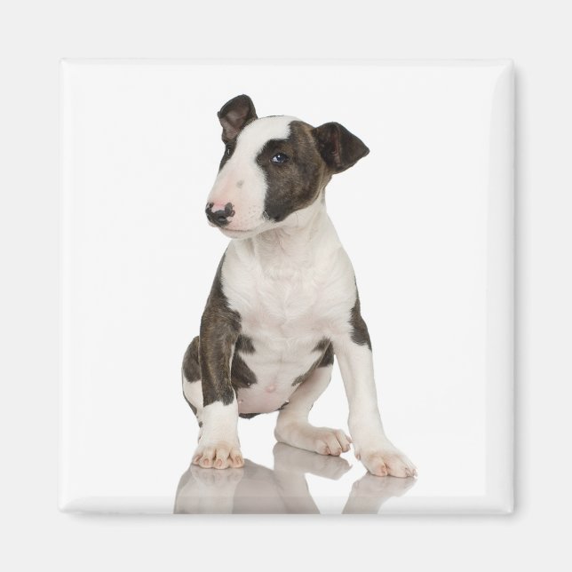 Bull Terrier Magnet (Vorne)