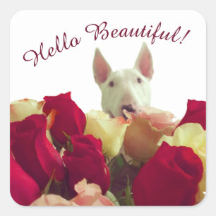 Bull Terrier mit Rose Gruß - Hallo schön Quadratischer Aufkleber