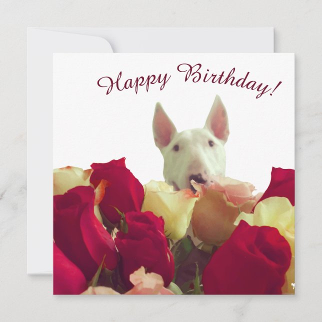 Bull Terrier mit Rose - Happy Birthday! (Vorderseite)