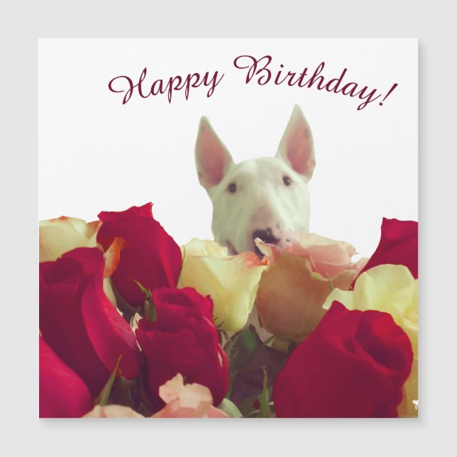 Bull Terrier mit Rose - Happy Birthday! Magnetkarte (Vorderseite)