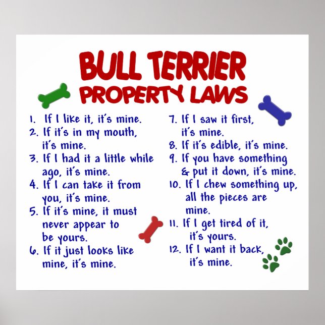 BULL TERRIER PL2 POSTER (Vorne)