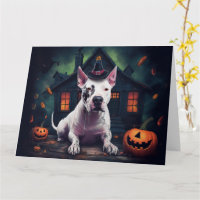 Bull Terrier Pumpkins Halloween Beängstigend