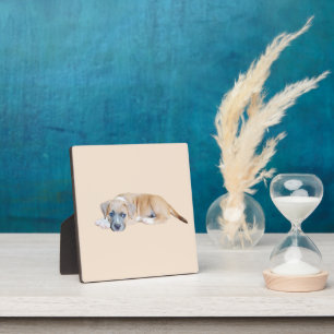 Bull Terrier Puppy Chillout Time Fotoplatte