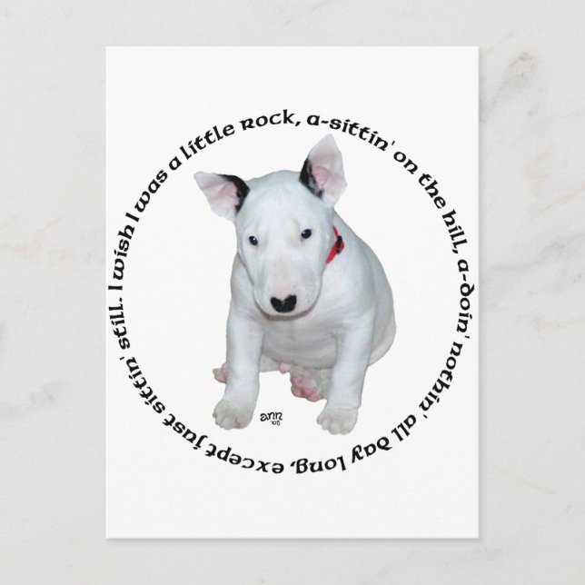 Bull Terrier Puppy Ditties Postkarte (Vorderseite)