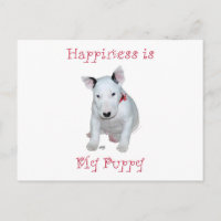 Bull Terrier Puppy