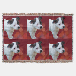 Bull Terrier Puppy, schwarz-weiß, Decke