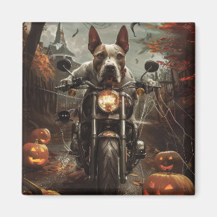 Bull Terrier Riding Motorrad Halloween Beängstigen Magnet