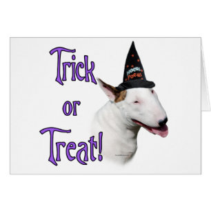 Bull Terrier Trick
