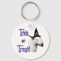 Bull Terrier Trick