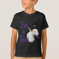 Bull Terrier Trick
