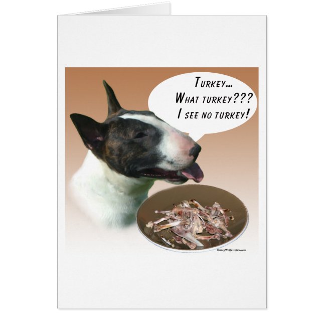 Bull Terrier Türkei (Vorne)