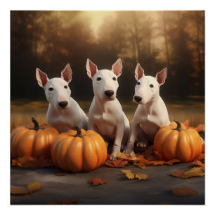 Bull Terrier Welpe Herbstfreude Kürbis Poster