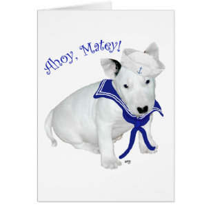 Bull Terrier Welpe Matrose