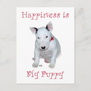 Bull Terrier Welpe Postkarte