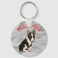 Bull Terrier Welpe