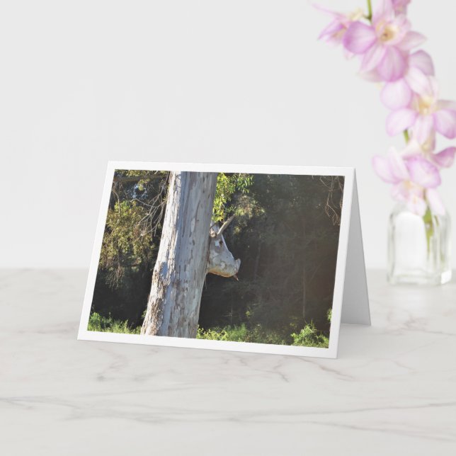 Bull Tree in Valencia, Spanien, Spanien Karte (Orchidee)