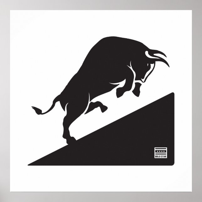 Bull Up CHI Poster (Vorne)