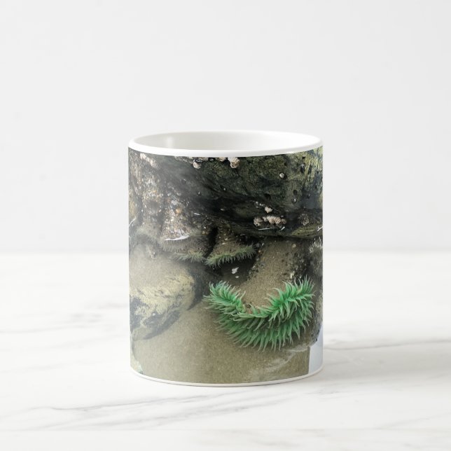 Bullards Beach State Park, Bandon, Oregon Kaffeetasse (Mittel)
