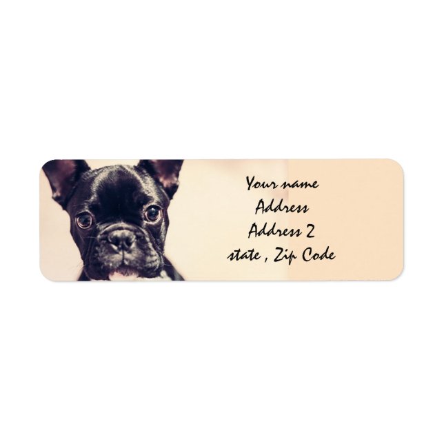 Bulldog (Vorne)