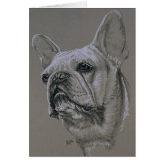 Bulldog