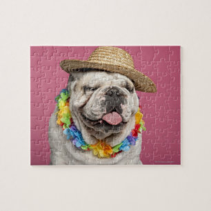 Bulldog (18 Monate alt) mit Strohhalm Puzzle