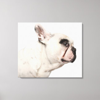 Bulldog (4 Jahre) nah Leinwanddruck