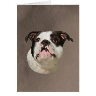 Bulldog Aquarellmalerei