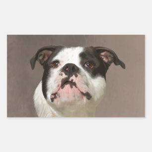 Bulldog Aquarellmalerei Rechteckiger Aufkleber