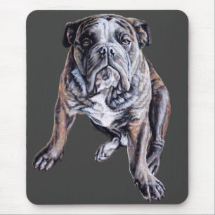 Bulldog Art Mousepad English Bulldog Custom Gips