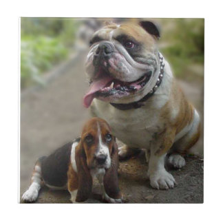 Bulldog & BabyBassett - Be aware of my best friend Fliese