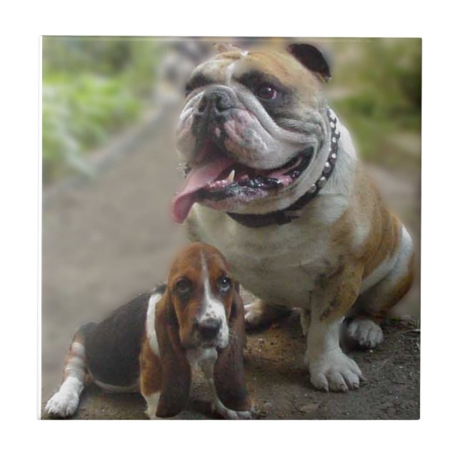 Bulldog & BabyBassett - Be aware of my best friend Fliese (Vorderseite)