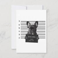 Bulldog Bad Dog Gefängnis Frenchie Dog Mama Lover