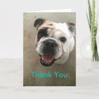 Bulldog Begleiter-Sitter danke Karte