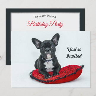 Bulldog Black Pillow Foto Geburtstag Einladung