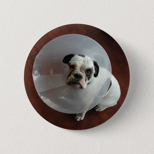 Bulldog Button (Vorderseite)