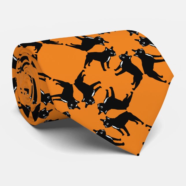 Bulldog-BW in Orange Krawatte (Gerollt)
