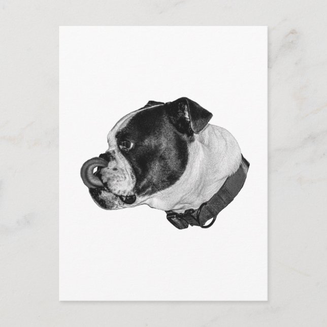 Bulldog Calm Mail Postkarte (Vorderseite)