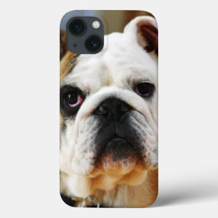 Bulldog iPhone 13 Hülle