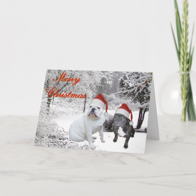 Bulldog Christmas Feiertagskarte (Vorderseite)