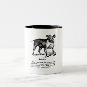 BULLDOG CLASSIC DOG BRET ZWEIFARBIGE TASSE