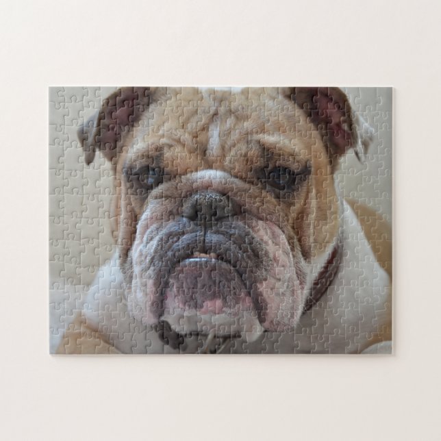 Bulldog-Fan Puzzle (Horizontal)