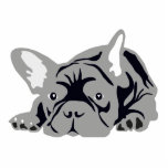 Bulldog Fotoskulptur Magnet<br><div class="desc">Einzigartige Fotoskulpturen aus Acryl, 3D-Objekt, geschnitten, 3D-Objekt</div>
