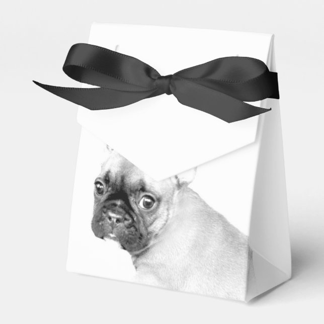 Bulldog Geschenkschachtel (Vorderseite)